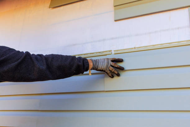 Best Stucco Siding  in Windsor, CO